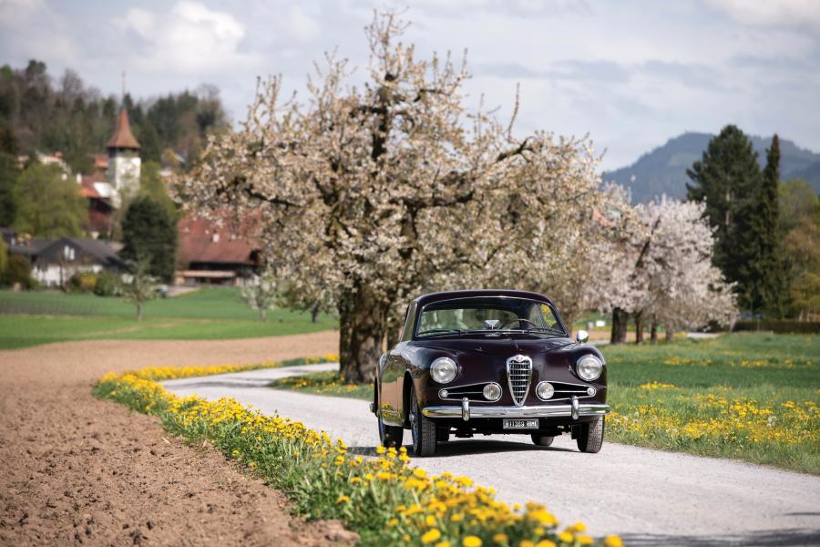  Alfa Romeo 1900 Super Sprint (1484) 1954 года  (фото 3 из 19)